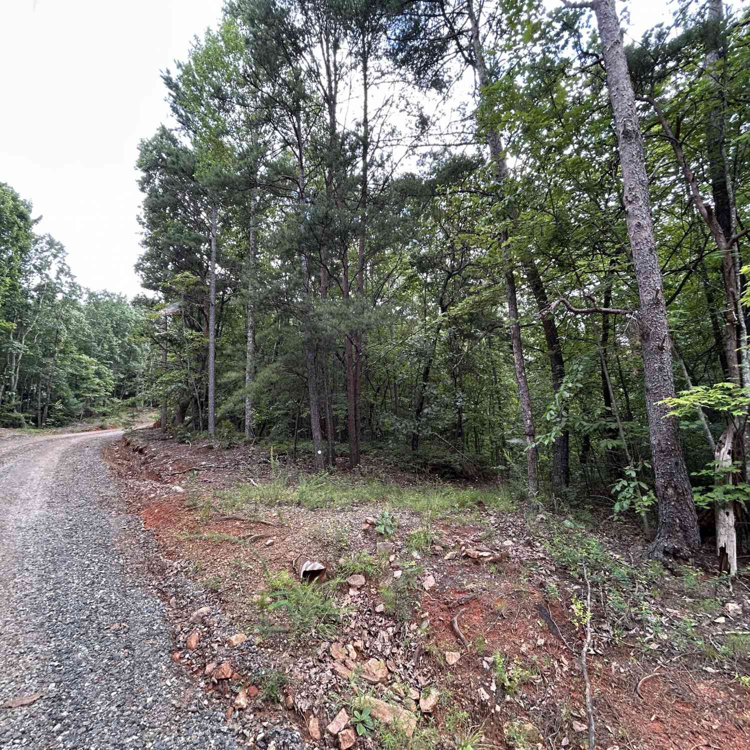 Vacant Land For Sale - Mountain Crest Drive<br/> Clarkesville, GA 30523