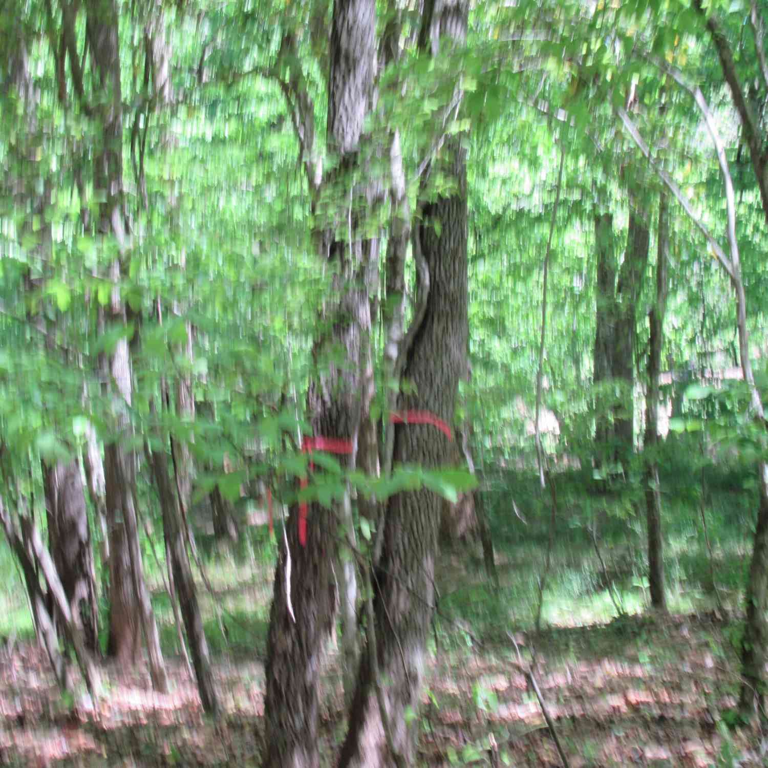 Vacant Land For Sale - Chestatee Drive<br/> Lumpkin County, Dahlonega, GA 30533
