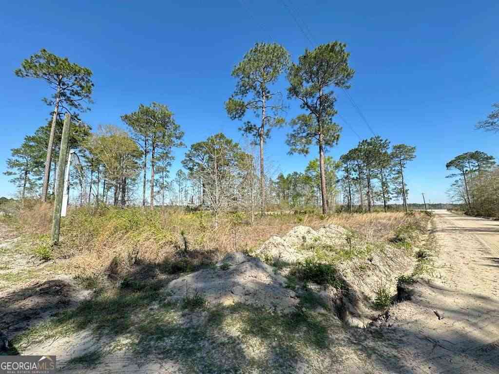 Vacant Land For Sale - Golf Road<br/> Baxley, GA 31513