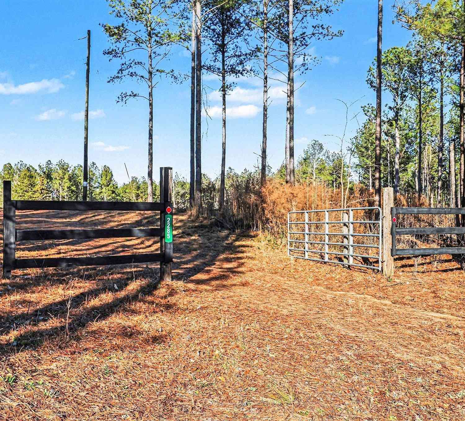 Vacant Land For Sale - 2285 Cherokee Road<br/> Madison County, Comer, GA 30629