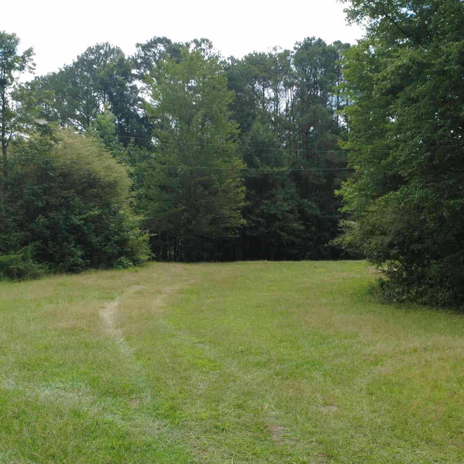 Vacant Land For Sale - 740 Barnes Road<br/> Carroll County, Bowdon, GA 30108
