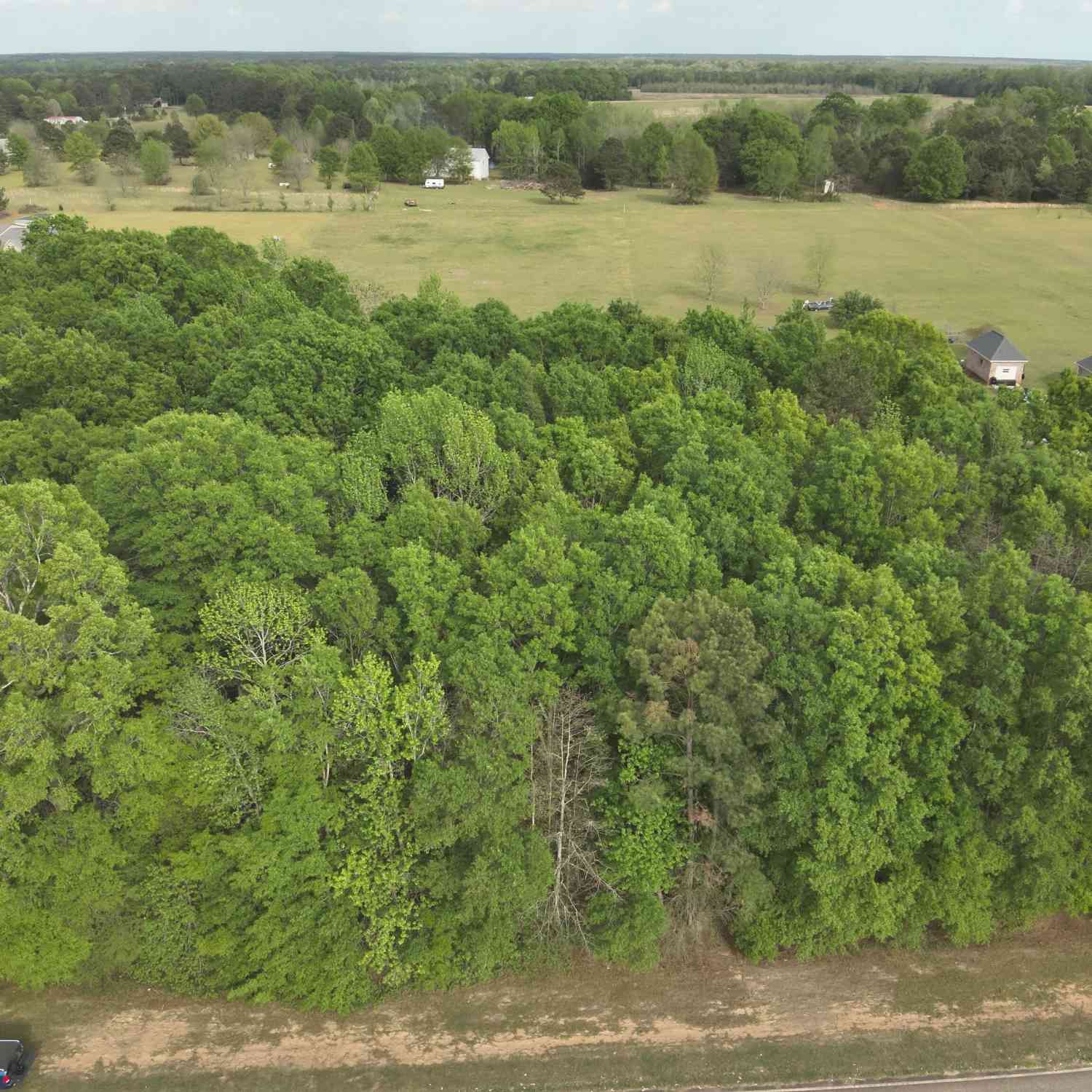 Vacant Land For Sale - 224 Scott Road<br/> Houston County, Elko, GA 31025