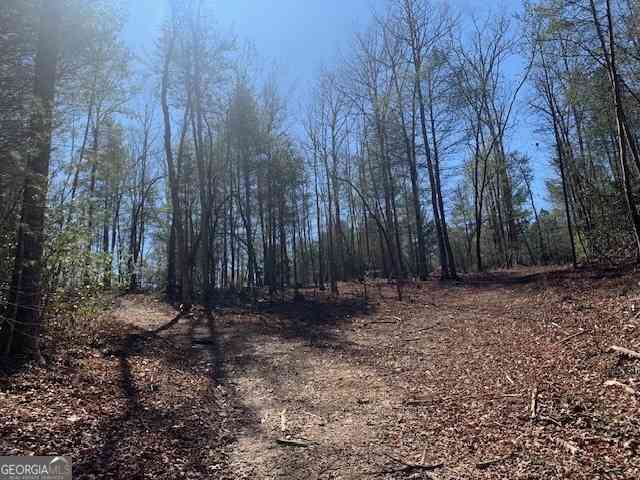 Vacant Land For Sale - East New Hope Road #TRACT A<br/> Ellijay, GA 30536