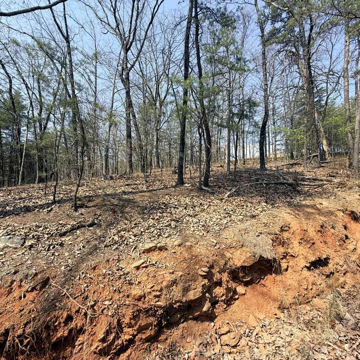 Vacant Land For Sale - TRACT A Baldwin Heights Road<br/> Banks County, Baldwin, GA 30511