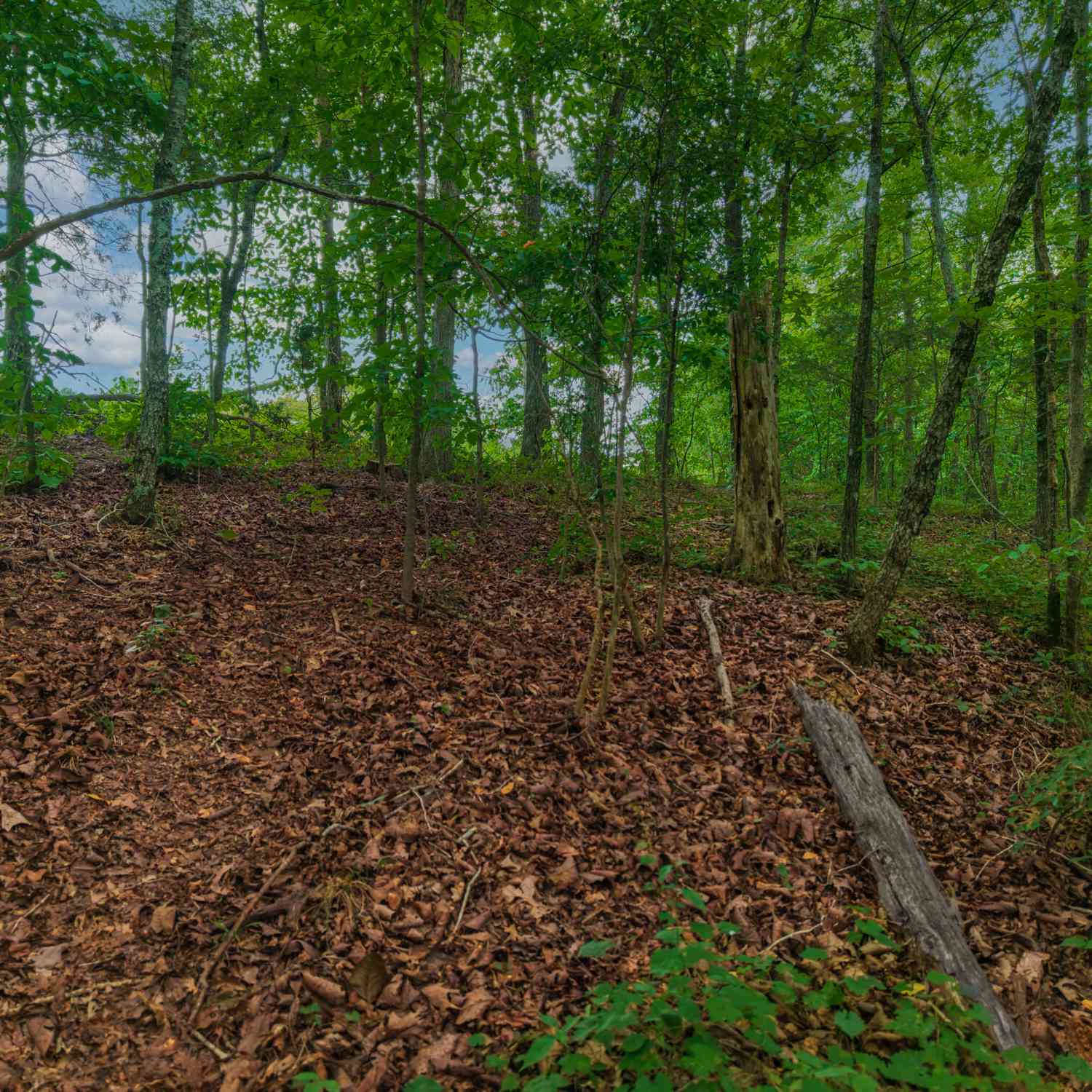 Vacant Land For Sale - Hobgood Road<br/> Rydal, GA 30171
