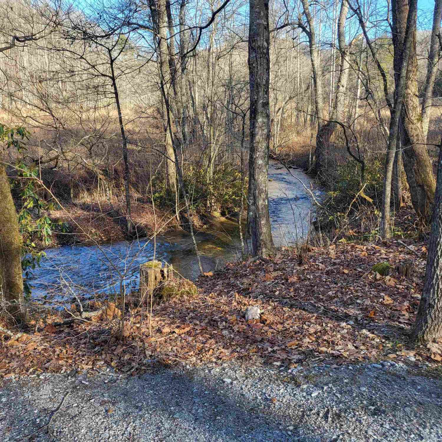 Vacant Land For Sale - 59 AC Hwy 356 & Skylake Road<br/> White County, Sautee Nacoochee, GA 30571