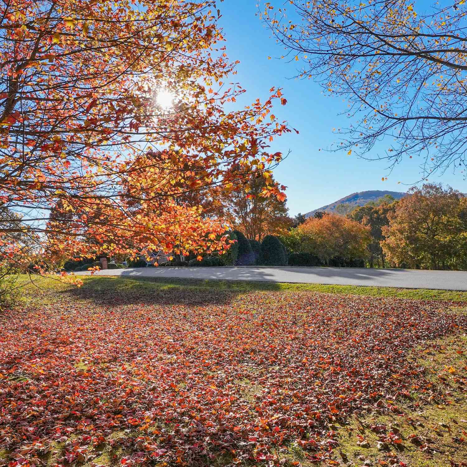Vacant Land For Sale - Rome Beauty Lane, Lot 4<br/> Clarkesville, GA 30523