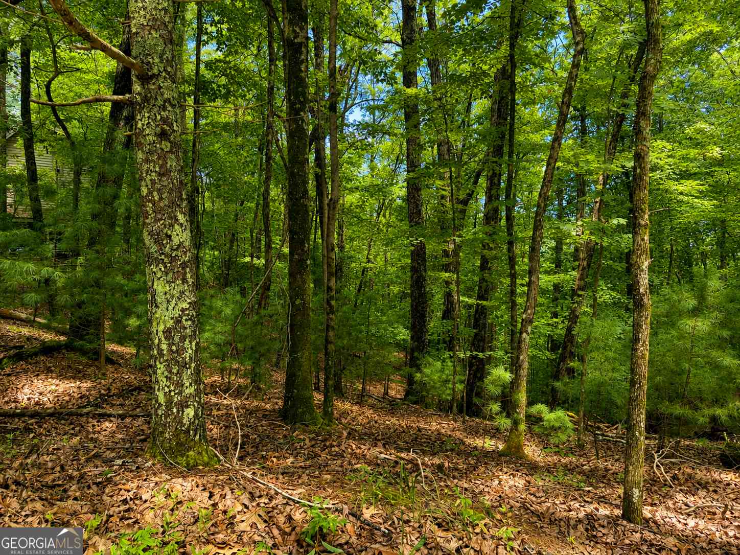 Vacant Land For Sale - J208 Pine Ridge Road<br/> Ellijay, GA 30536