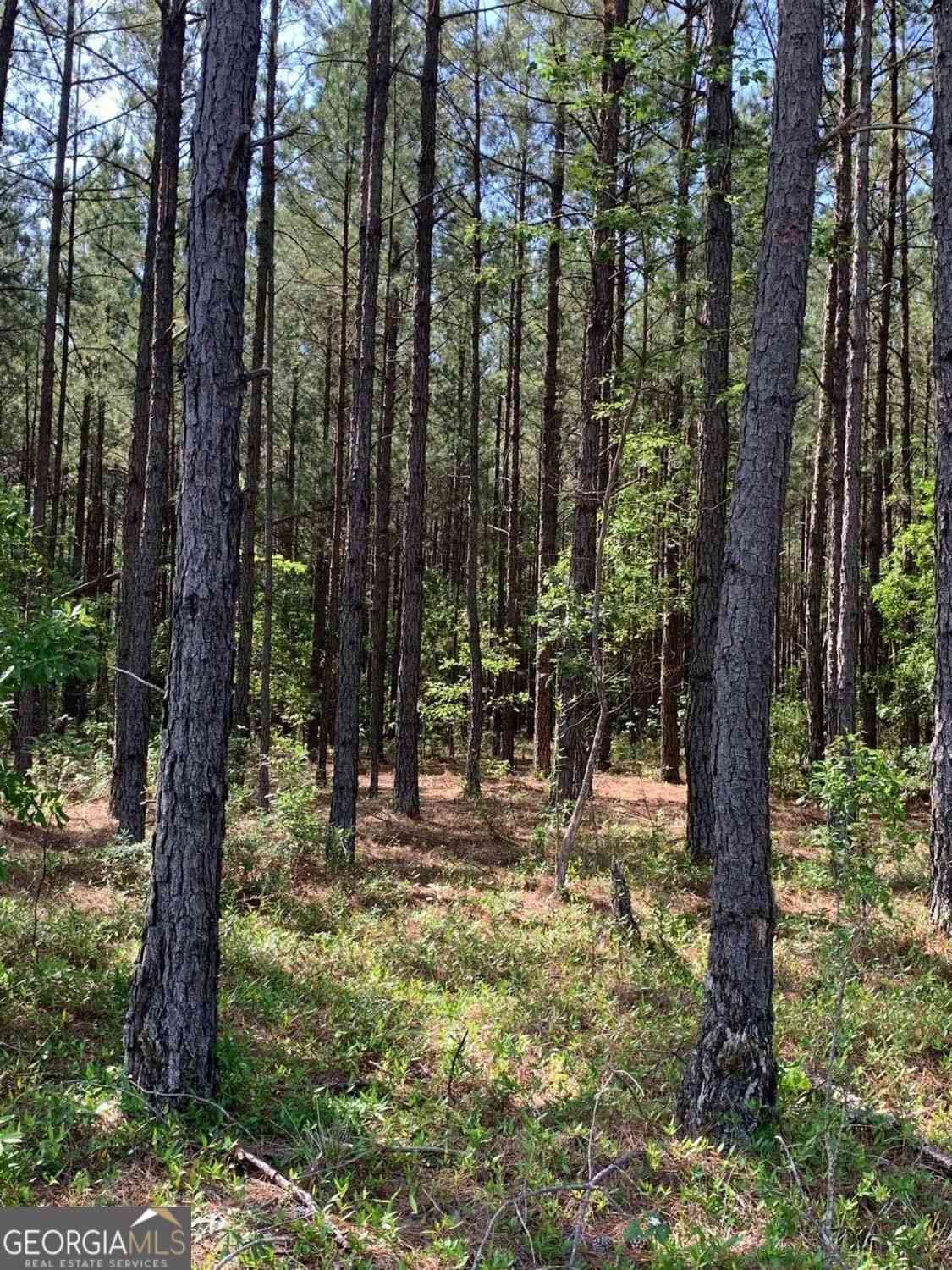 Vacant Land For Sale - Pollett Road #LOT 29<br/> Jefferson County, Bartow, GA 30413