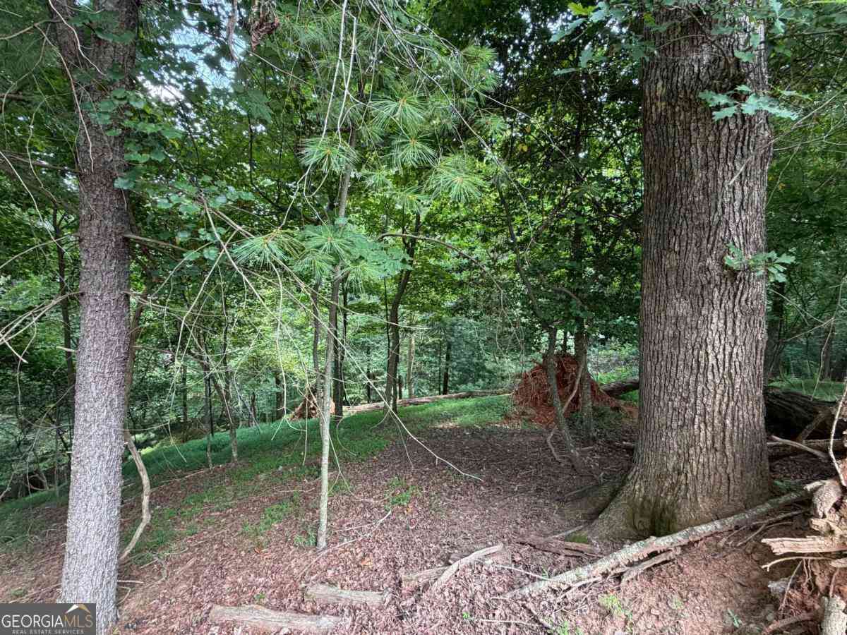 Vacant Land For Sale - LOT 403 Crown Court<br/> Ellijay, GA 30540