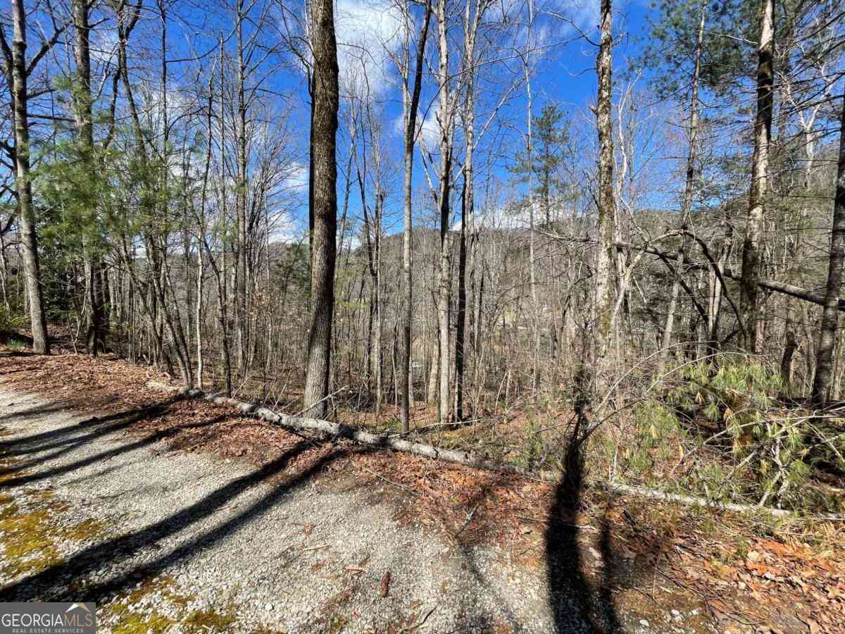 Vacant Land For Sale - Bridge Creek Road<br/> Rabun County, Tiger, GA 30576