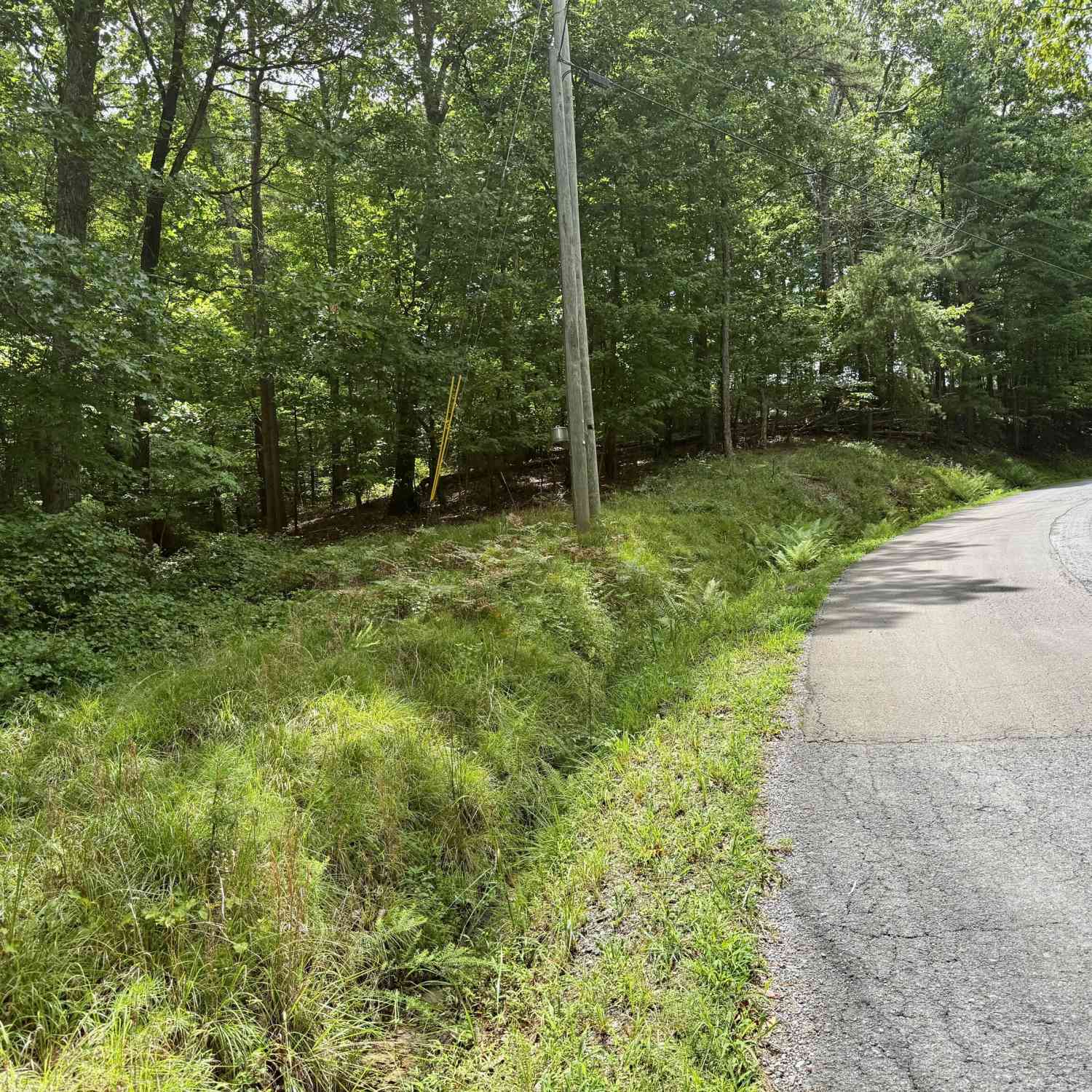 Vacant Land For Sale - LOT 7 Stirratt Road<br/> Ranger, GA 30734