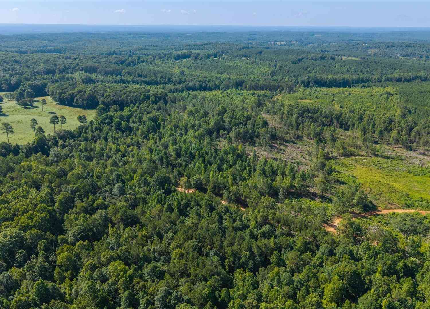 Vacant Land For Sale - County Road 404 #TRACT 1<br/> Cleburne County, Heflin, AL 36264
