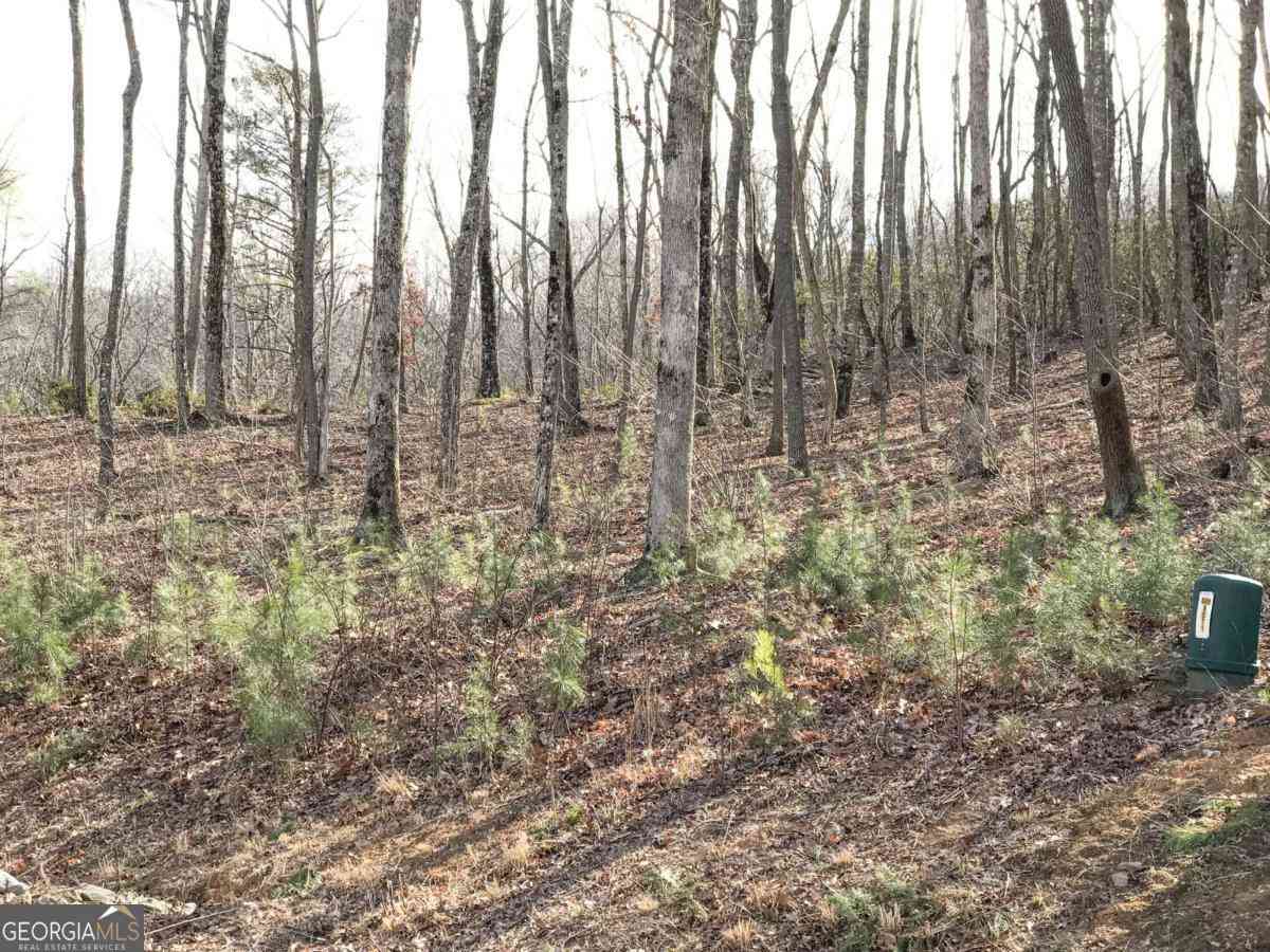 Vacant Land For Sale - 179 Trailwood Drive<br/> Ellijay, GA 30536
