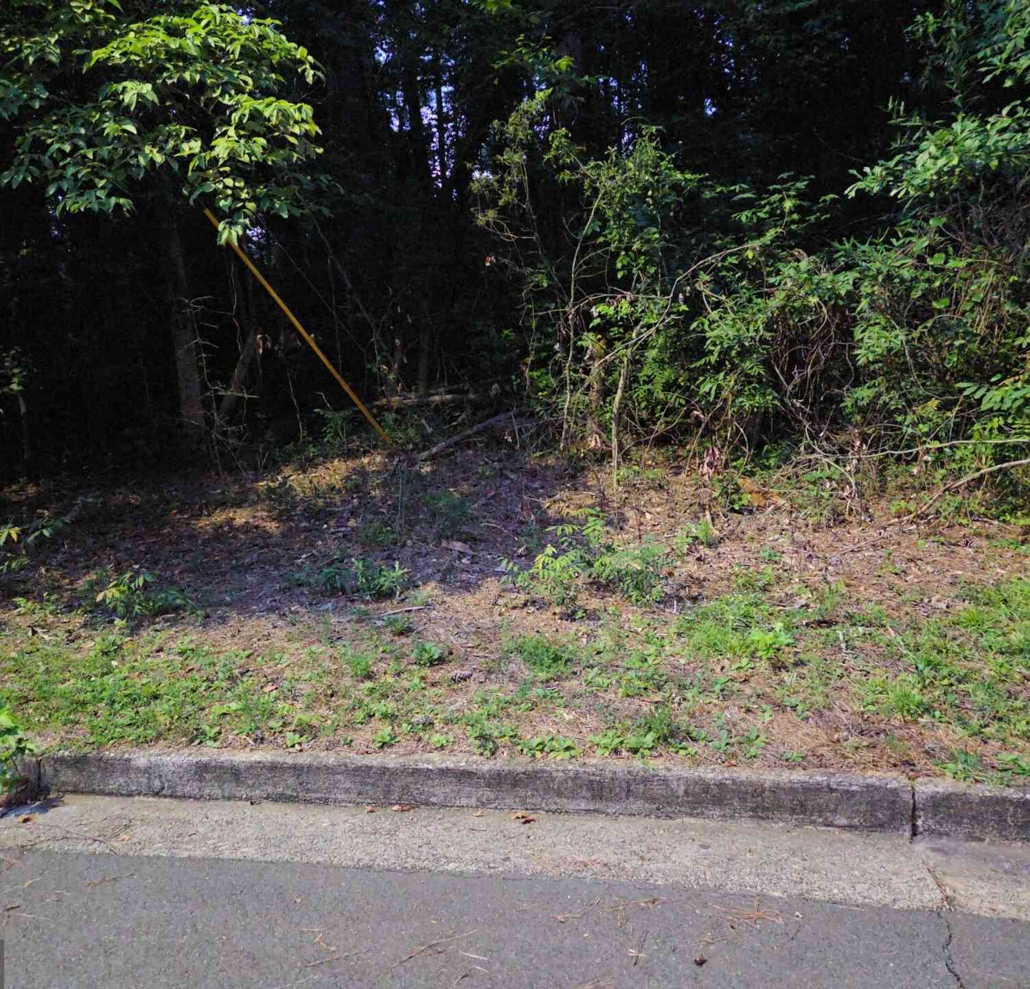 Vacant Land For Sale - Lake Esther Drive<br/> Fairburn, GA 30213