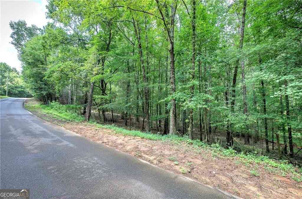 Vacant Land For Sale - Weissenger Road<br/> Bartow County, Kingston, GA 30145