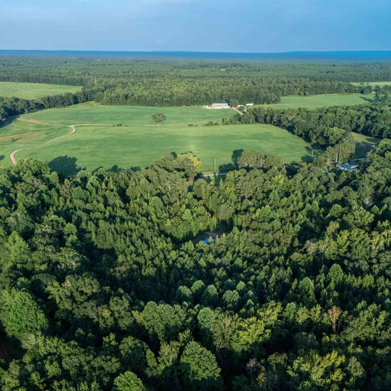 Vacant Land For Sale - 137 Robertson Road<br/> Troup County, Lagrange, GA 30241