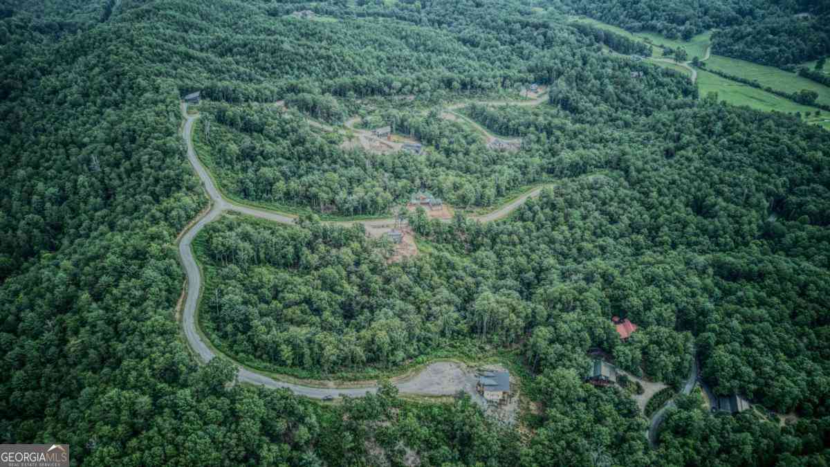 Vacant Land For Sale - LOT 49 Mountain Laurel Ridge<br/> Fannin County, Mineral Bluff, GA 30559