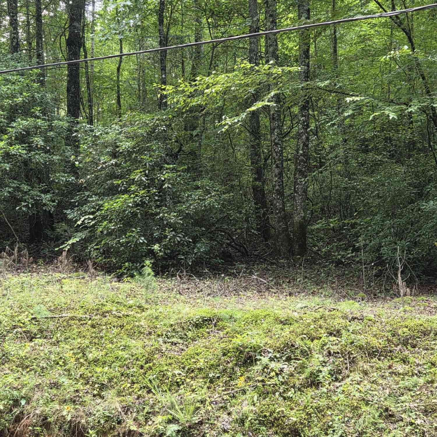Vacant Land For Sale - 00 Chopped Oak<br/> Ellijay, GA 30540