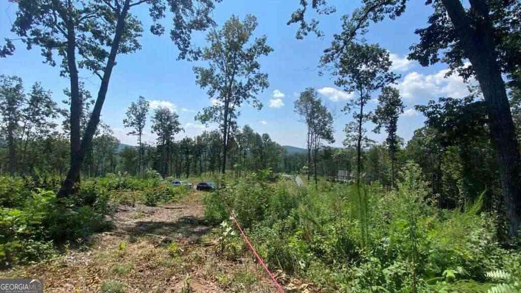 Vacant Land For Sale - 1084 Highgrove Drive #276<br/> Gilmer County, Talking Rock, GA 30175