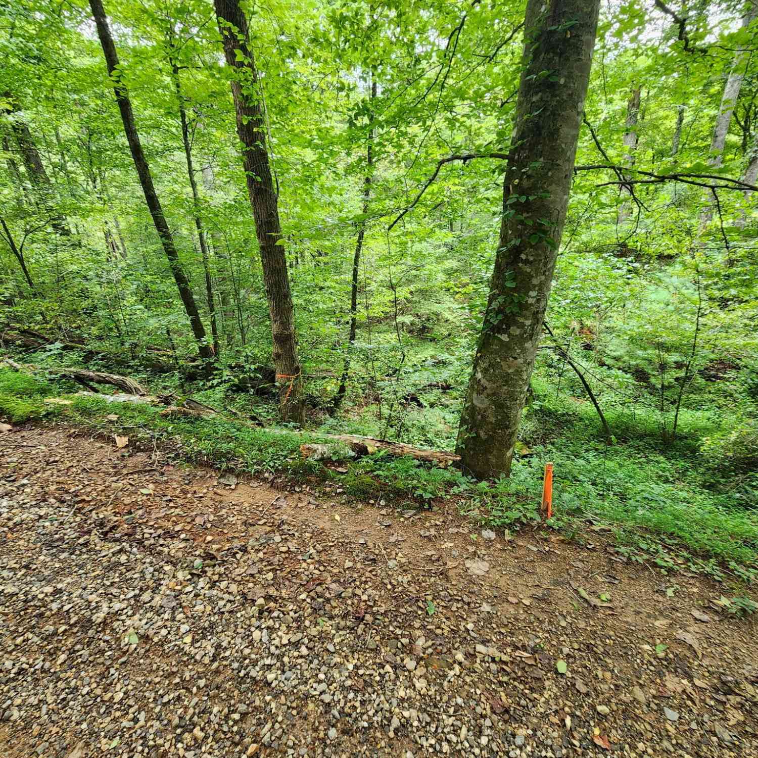 Vacant Land For Sale - TRACT 2A Poplar Cove Trail<br/> Suches, GA 30572