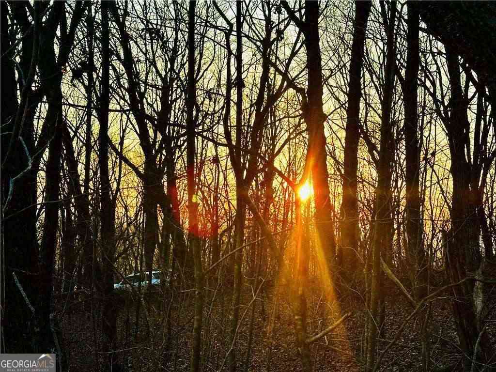 Vacant Land For Sale - LOT 1 Mount Mincie Road<br/> Lumpkin County, Murrayville, GA 30564