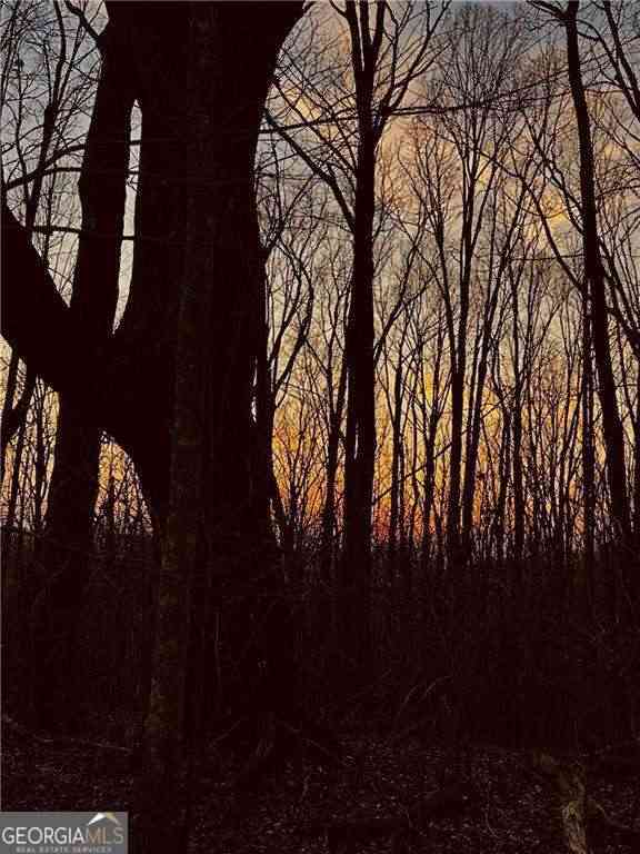 Vacant Land For Sale - LOT 4 Mount Mincie Road<br/> Lumpkin County, Murrayville, GA 30564
