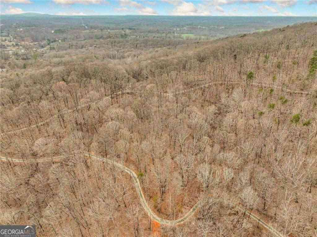 Vacant Land For Sale - LOT 5 Mount Mincie Road<br/> Lumpkin County, Murrayville, GA 30564