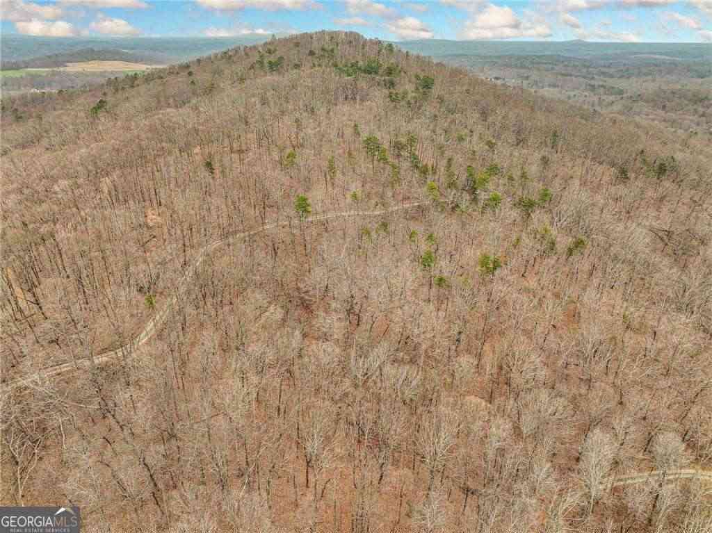 Vacant Land For Sale - LOT 6 Mount Mincie Road<br/> Lumpkin County, Murrayville, GA 30564