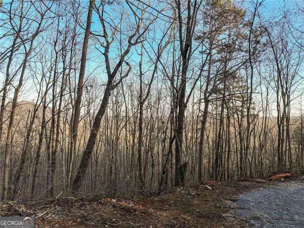 Vacant Land For Sale - LOT 7 Mount Mincie Road<br/> Lumpkin County, Murrayville, GA 30564