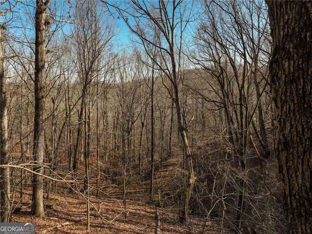 Vacant Land For Sale - LOT 10 Mount Mincie Road<br/> Lumpkin County, Murrayville, GA 30564