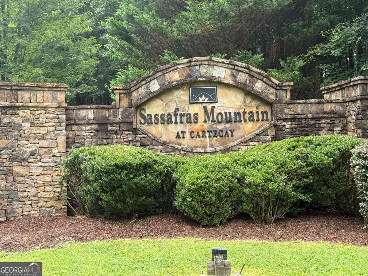 Vacant Land For Sale - 9 Foxpaw Leaf Court #9<br/> Gilmer County, East Ellijay, GA 30536