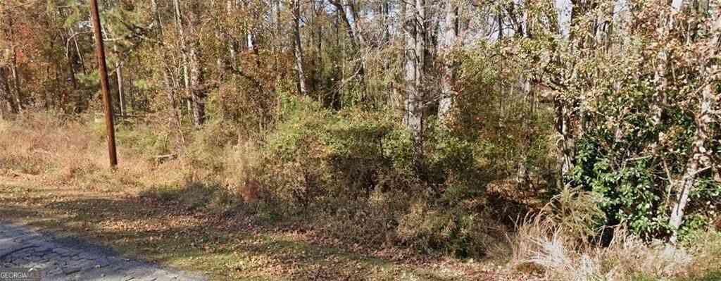 Vacant Land For Sale - 2842 Drowning Creek Road<br/> Gwinnett County, Dacula, GA 30019