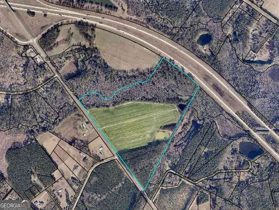 Vacant Land For Sale - 78.35 ACRES Highway 67<br/> Brooklet, GA 30415
