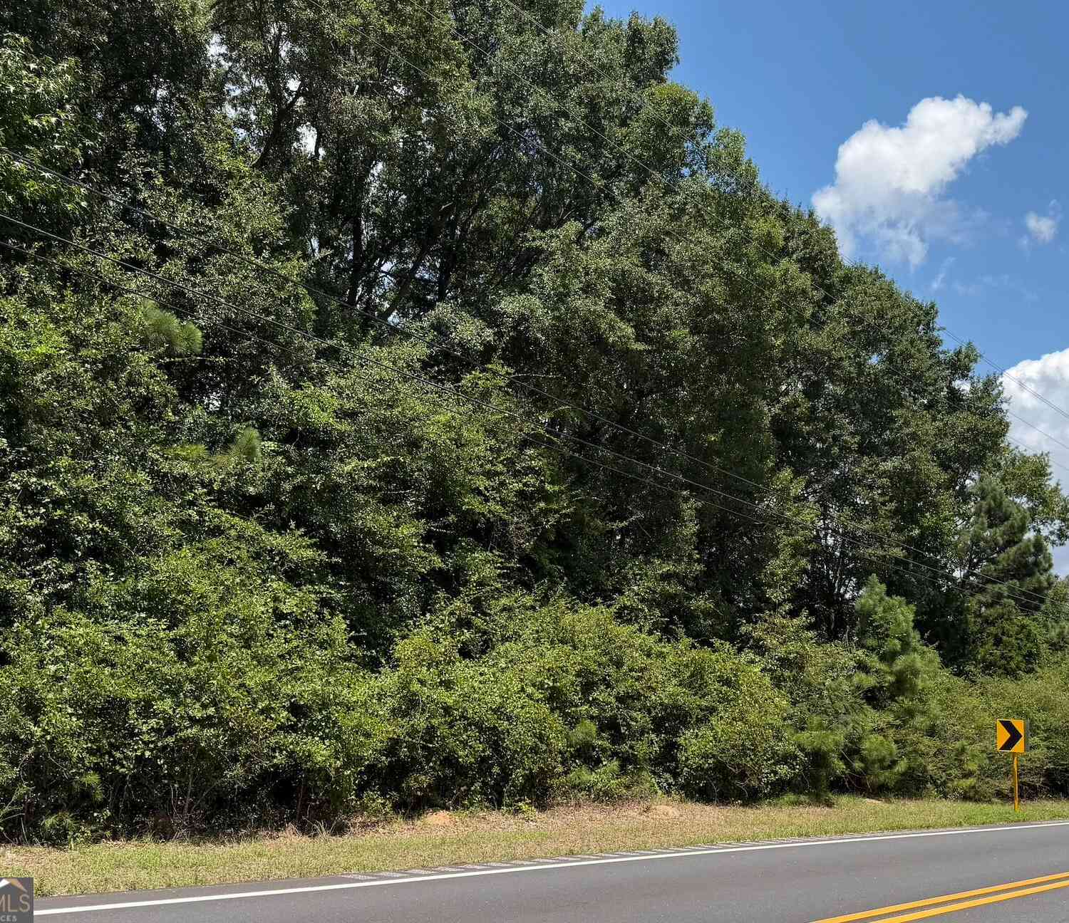 Vacant Land For Sale - Us-431<br/> Chambers County, Lafayette, AL 36862