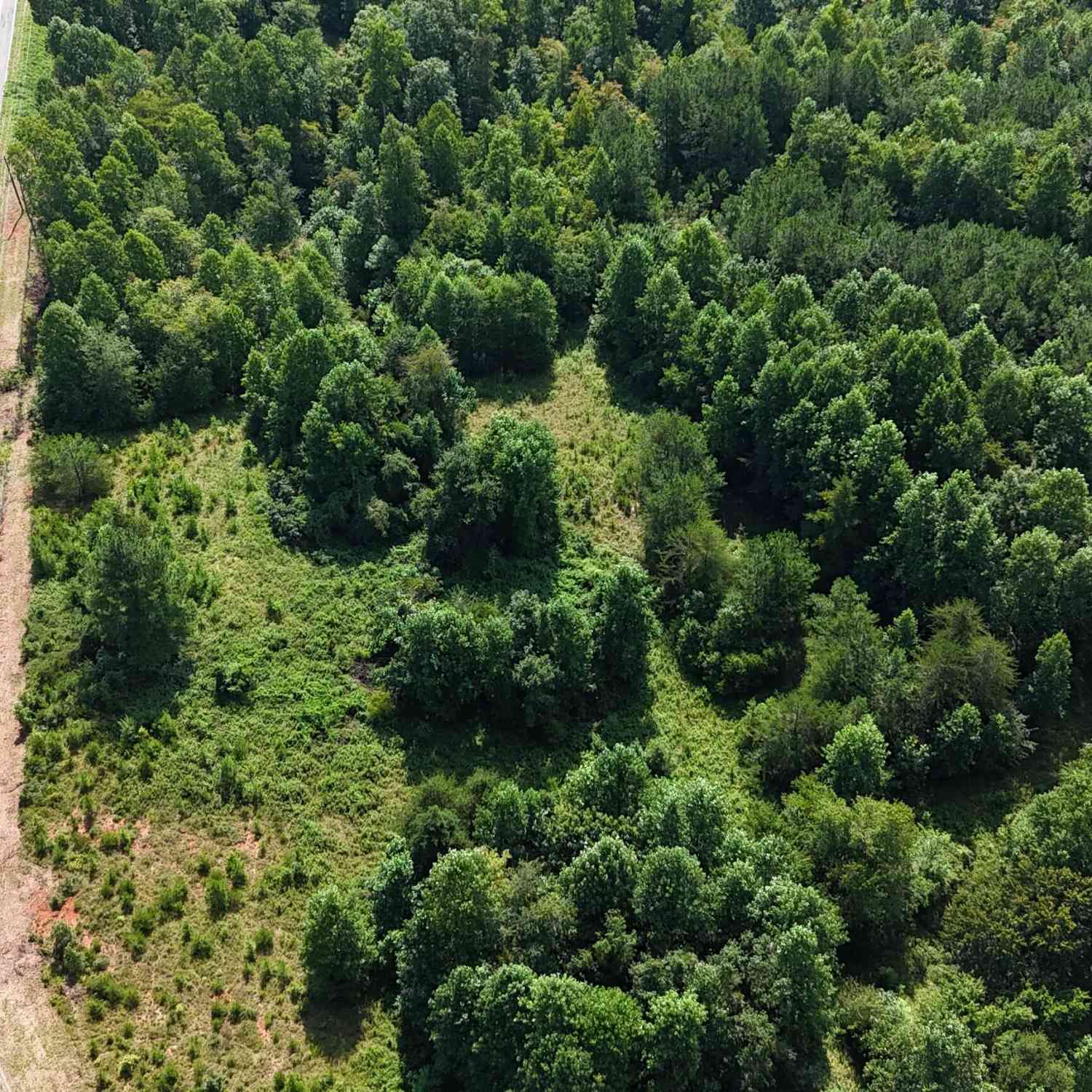 Vacant Land For Sale - 10.8 AC Cody Road<br/> Mount Airy, GA 30563
