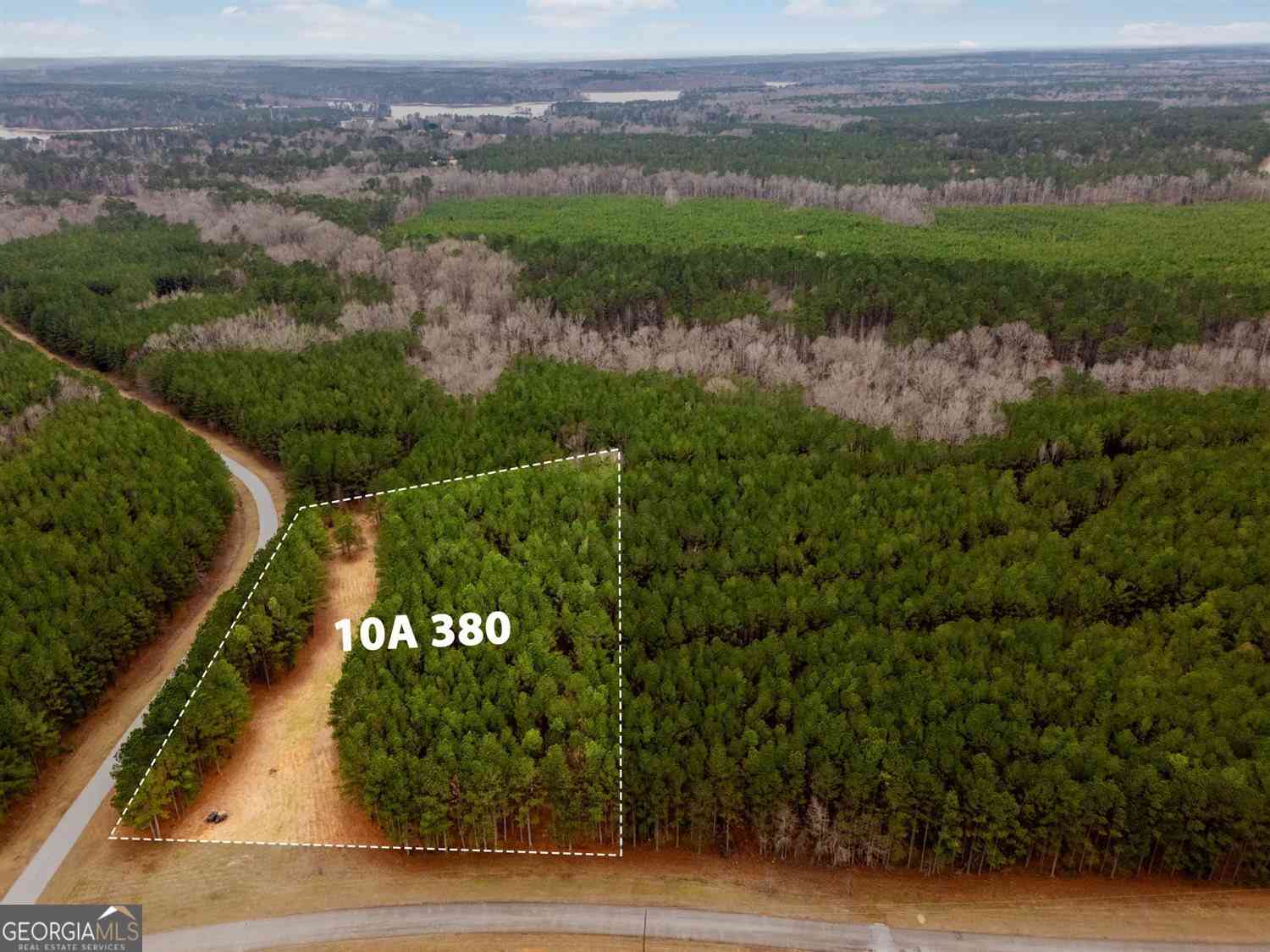 Vacant Land For Sale - 1084 Hesters Ferry Road<br/> Lincoln County, Tignall, GA 30668