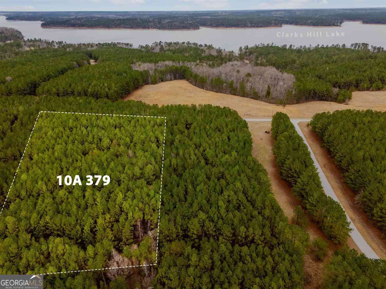 Vacant Land For Sale - 1068 Hesters Ferry Road<br/> Lincoln County, Tignall, GA 30668
