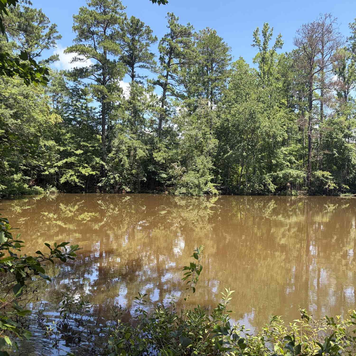 Vacant Land For Sale - Garmon Road<br/> Hiram, GA 30141