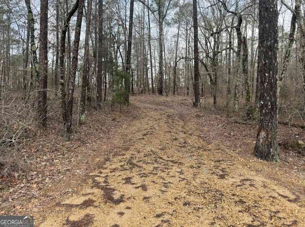 Vacant Land For Sale - Otts Road #UNIT A<br/> Fayette, AL 35555