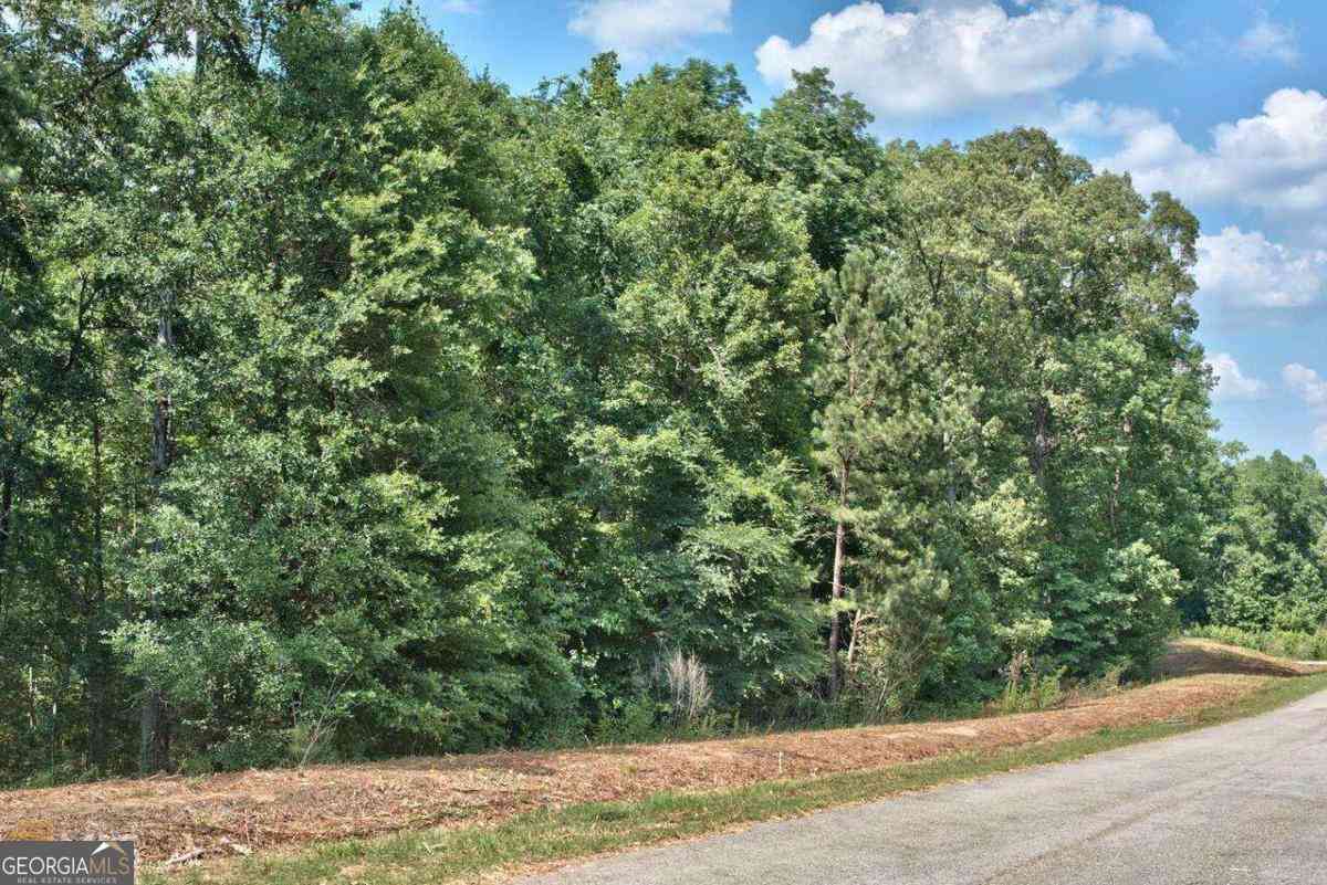 Vacant Land For Sale - 1190 Waterstone Drive<br/> Morgan County, Madison, GA 30650
