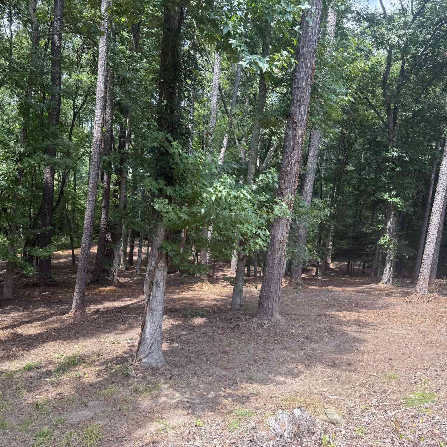 Vacant Land For Sale - 96 Battle Knoll<br/> Dallas, GA 30157