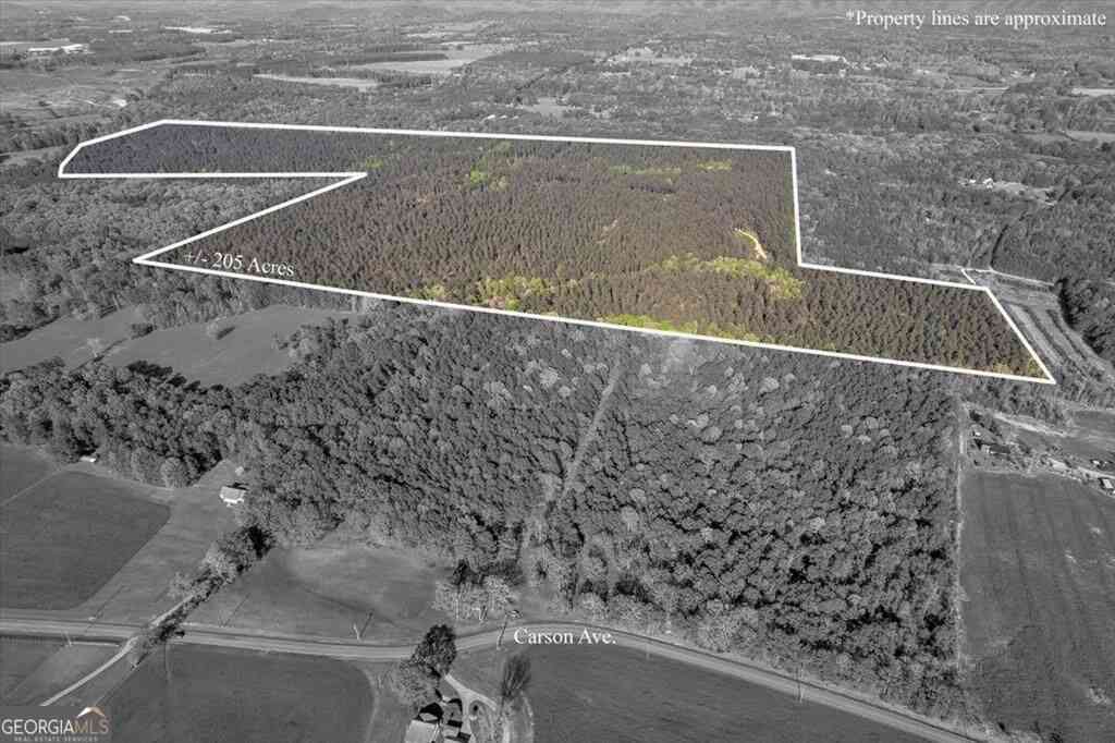 Vacant Land For Sale - 205+ AC Maddron Road<br/> Murray County, Crandall, GA 30711