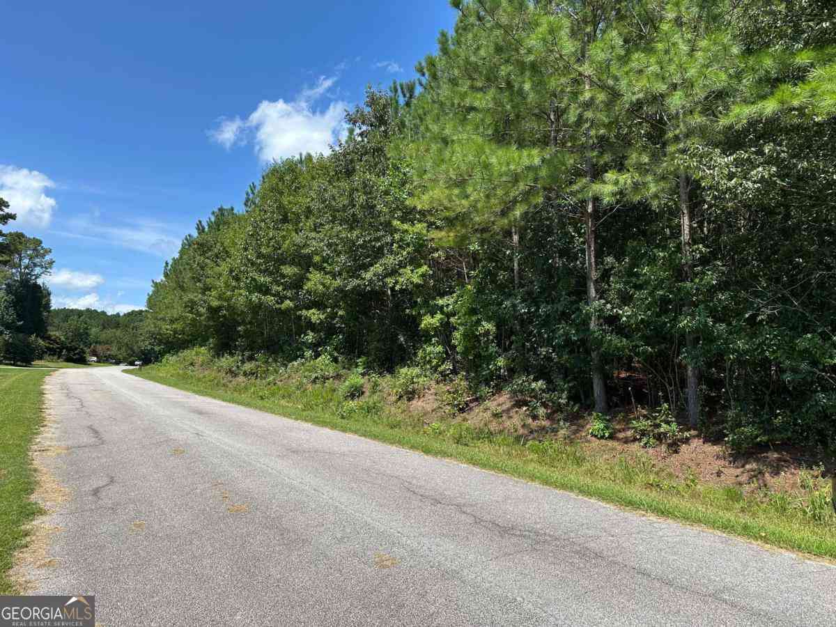 Vacant Land For Sale - 305 Wildcat Road<br/> Haralson County, Buchanan, GA 30113
