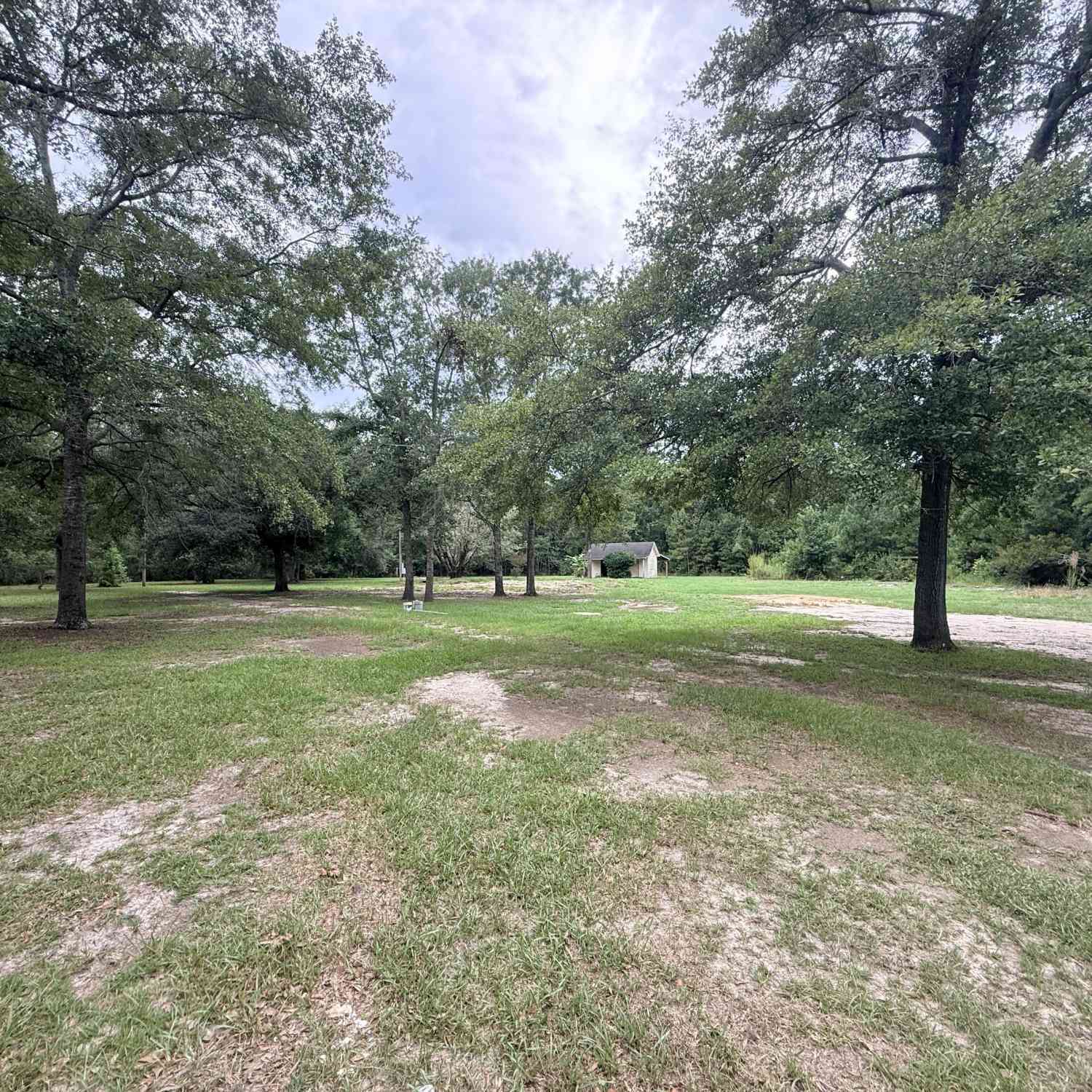 Vacant Land For Sale - 1198 Horse And Buggy Lane<br/> Bulloch County, Brooklet, GA 30415