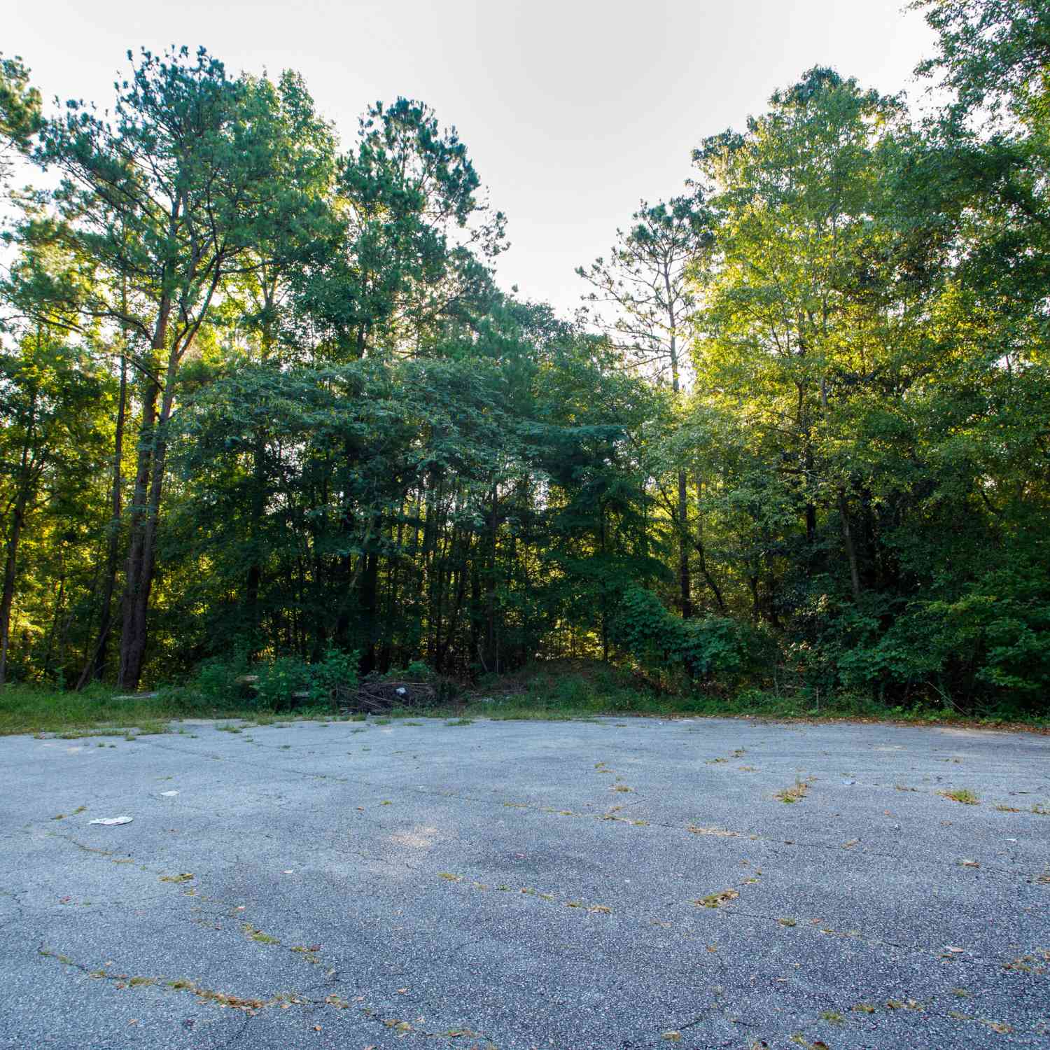 Vacant Land For Sale - 3821 Crest Drive<br/> Bibb County, Macon, GA 31217