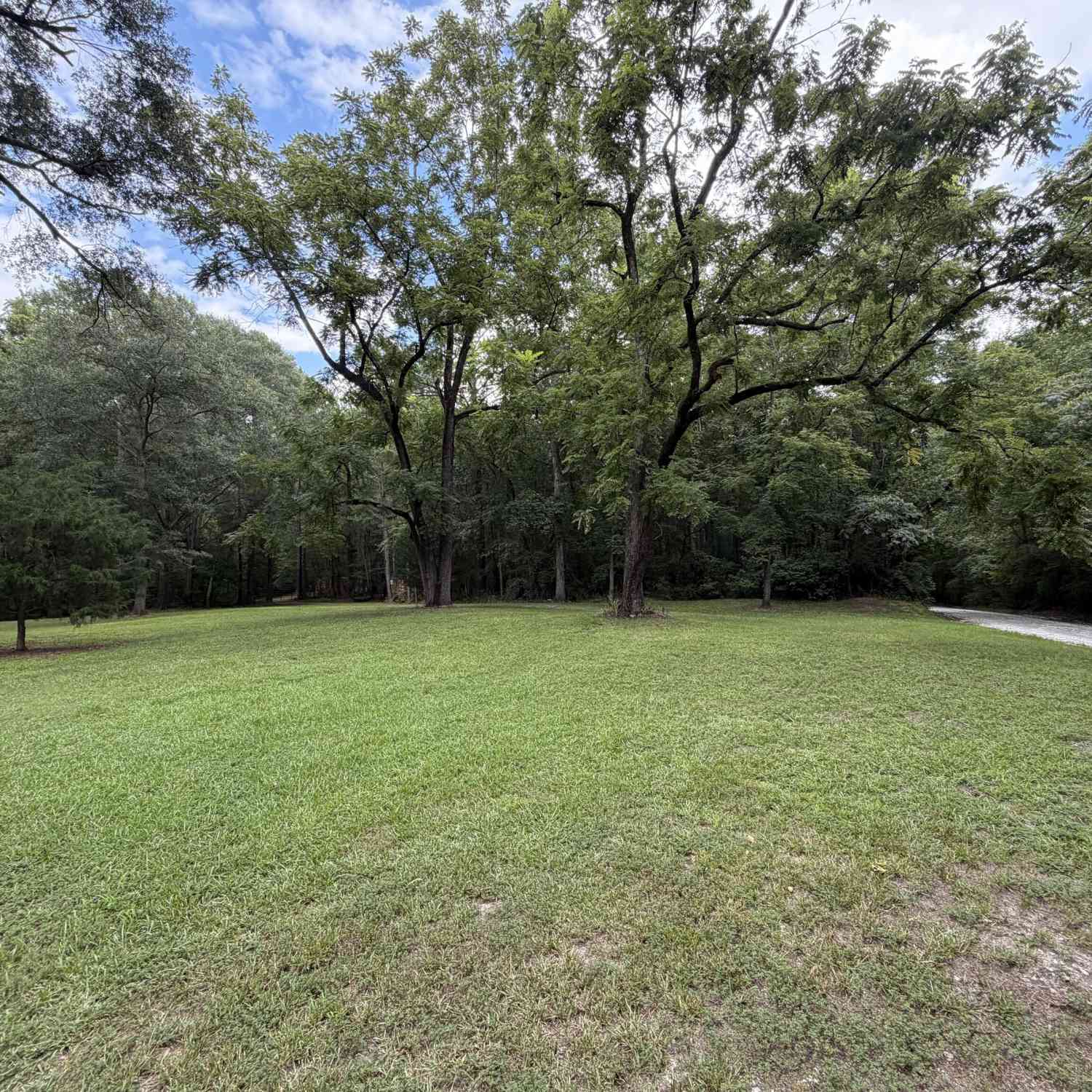 Vacant Land For Sale - TRACT 5 Chapman Road<br/> Fayette County, Fayetteville, GA 30215