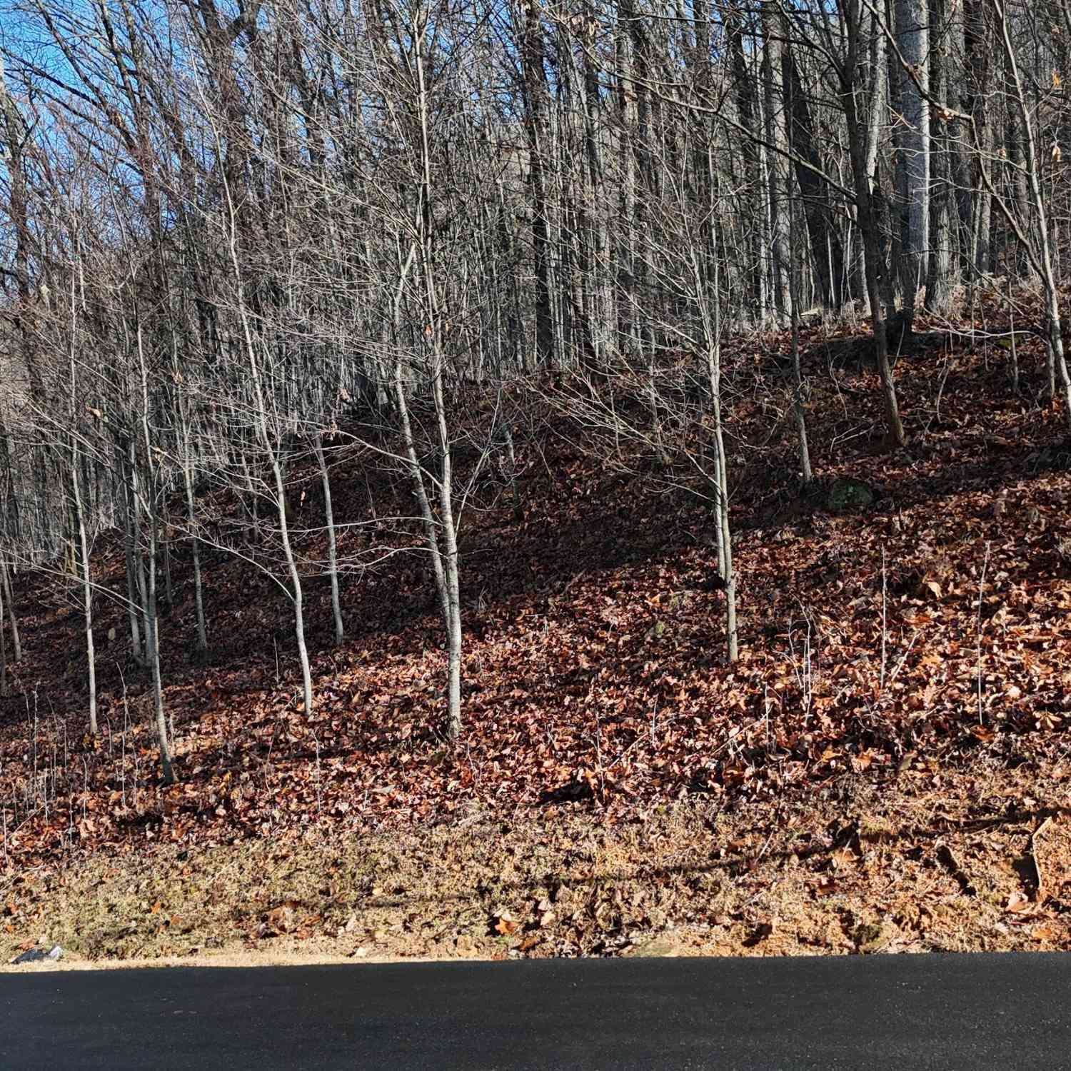 Vacant Land For Sale - LOT 45 Mountainside Drive<br/> White County, Cleveland, GA 30528