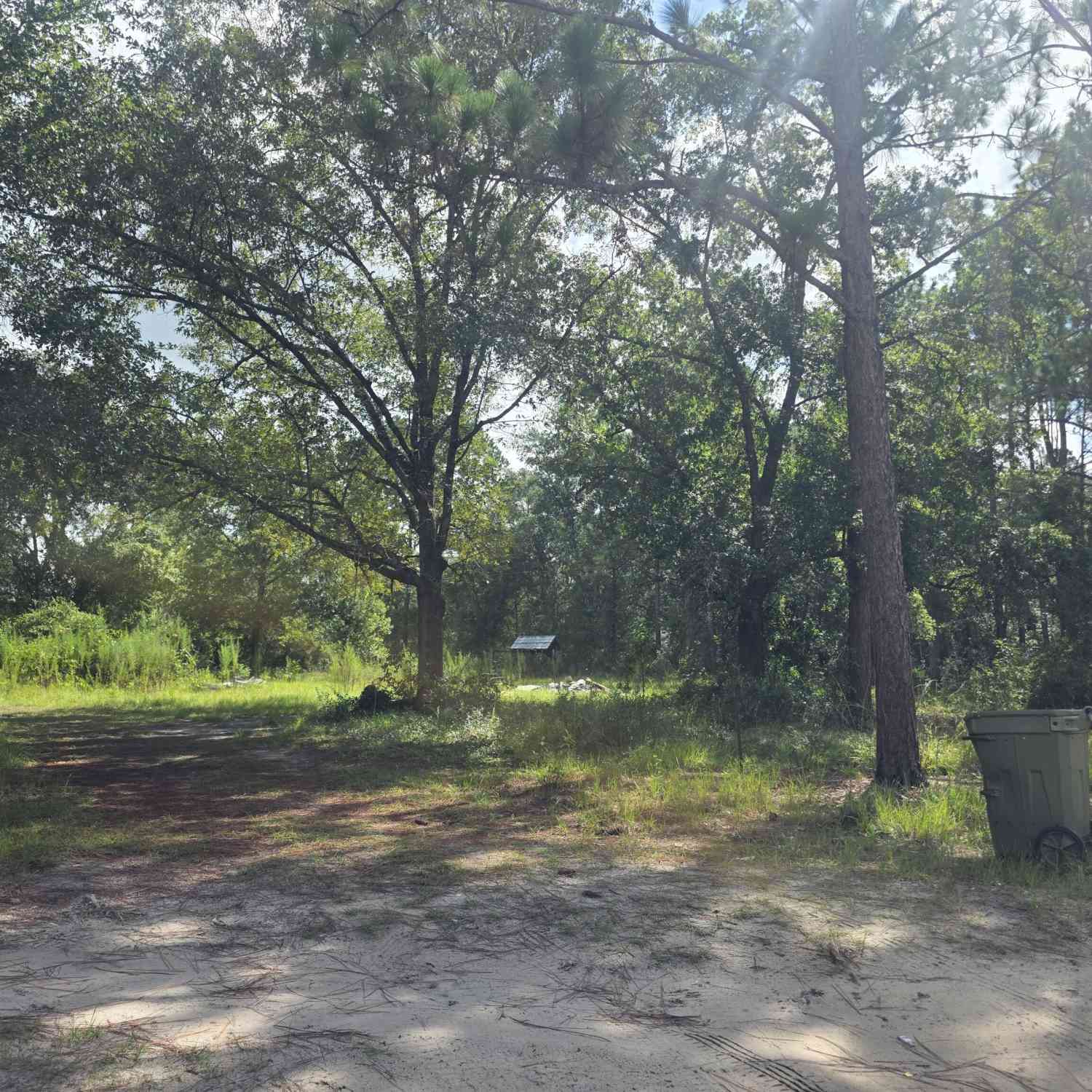 Vacant Land For Sale - 2301 Murphy Road<br/> Brantley County, Waynesville, GA 31566