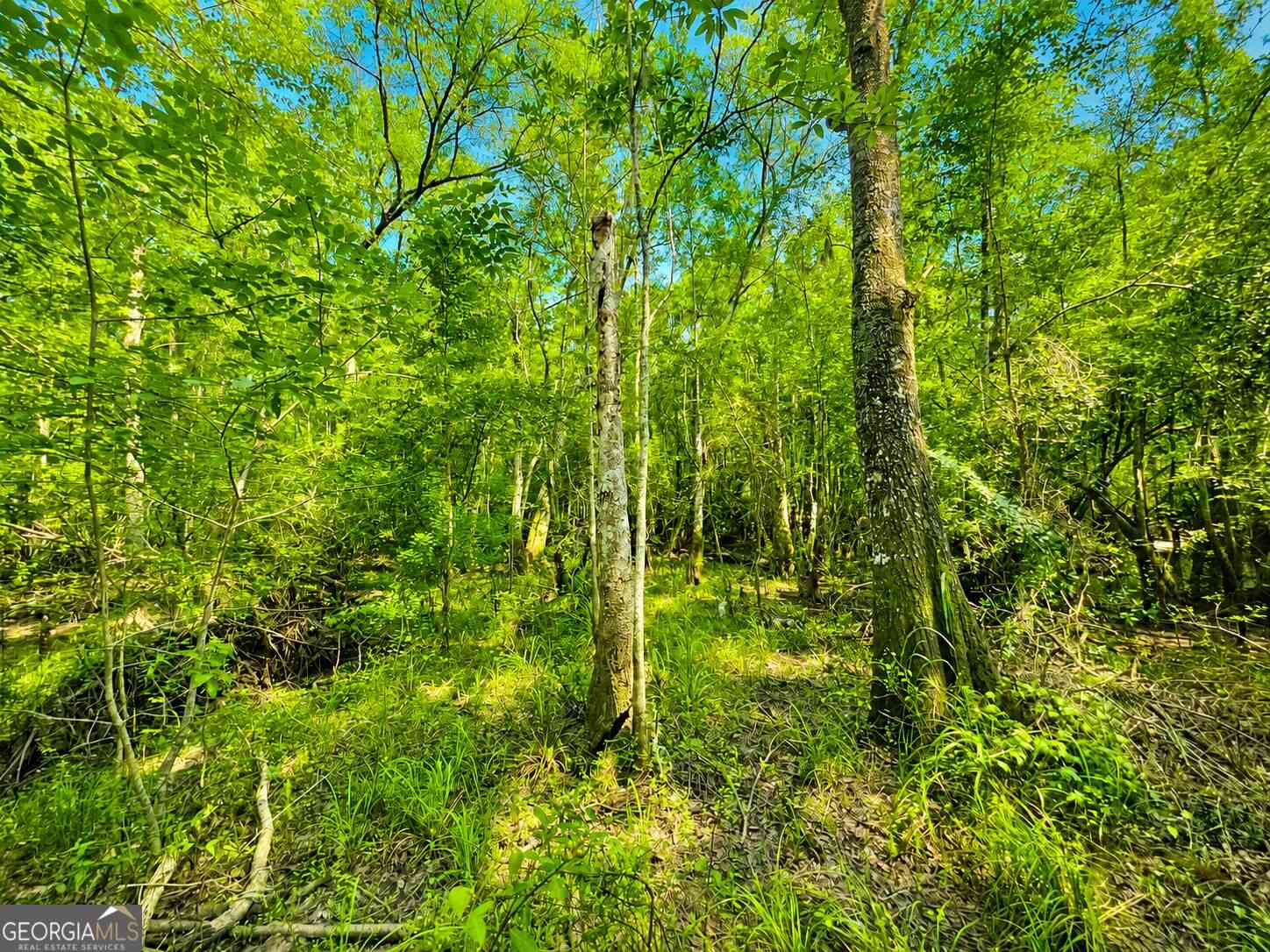 Vacant Land For Sale - 00 Herrin Lake<br/> Brantley County, Nahunta, GA 31553